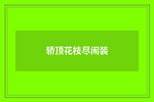 轿顶花枝尽闹装