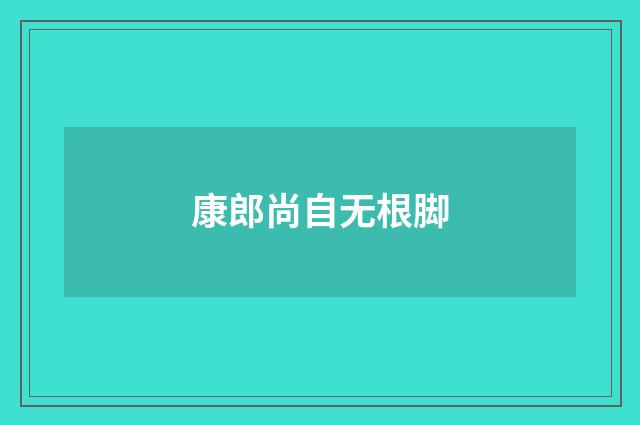 康郎尚自无根脚