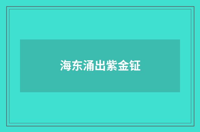 海东涌出紫金钲
