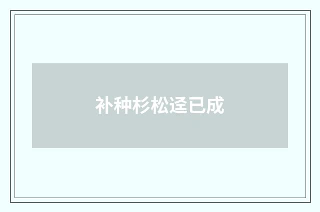 补种杉松迳已成