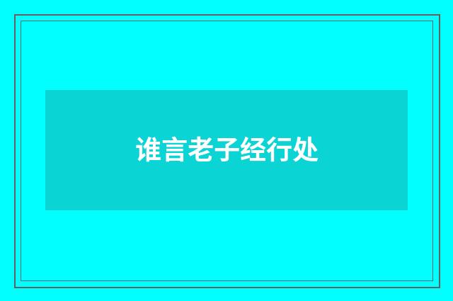 谁言老子经行处
