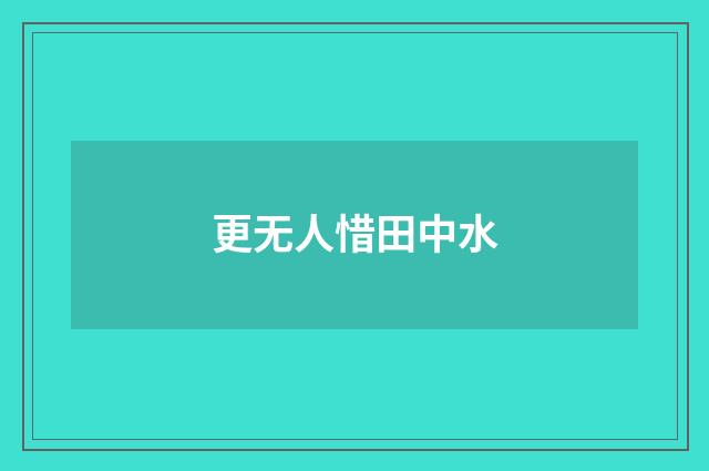 更无人惜田中水