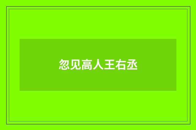 忽见高人王右丞