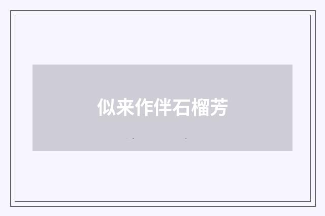 似来作伴石榴芳