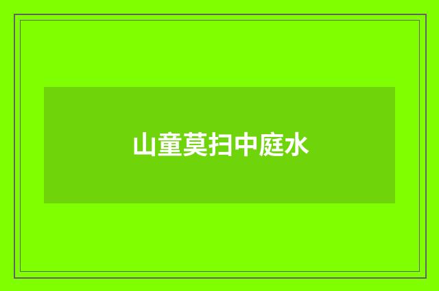 山童莫扫中庭水