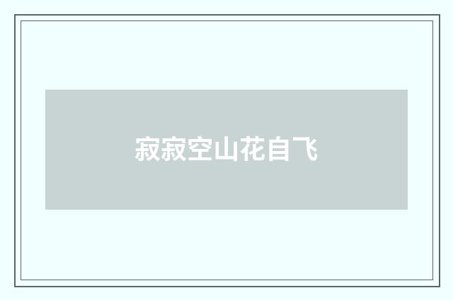 寂寂空山花自飞