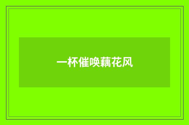 一杯催唤藕花风