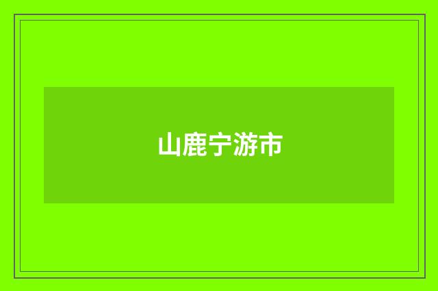 山鹿宁游市