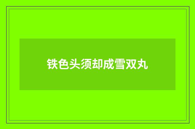 铁色头须却成雪双丸