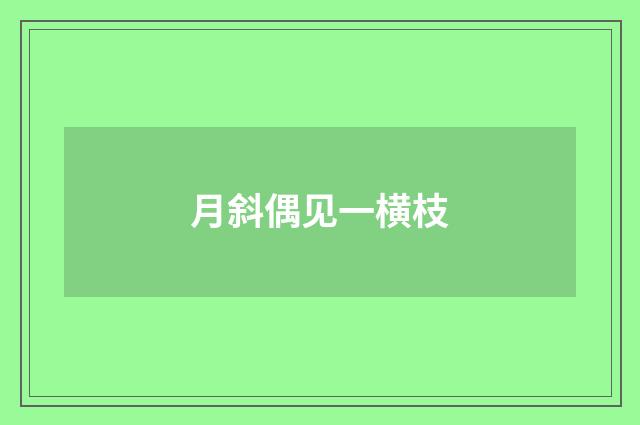 月斜偶见一横枝