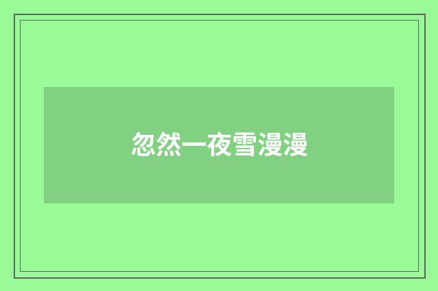 忽然一夜雪漫漫
