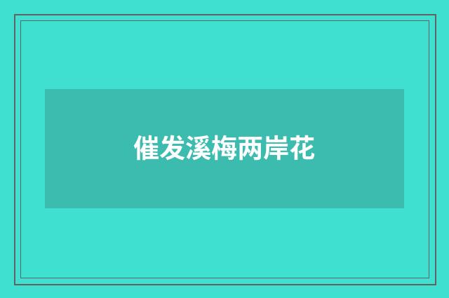 催发溪梅两岸花