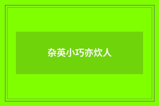 杂英小巧亦炊人