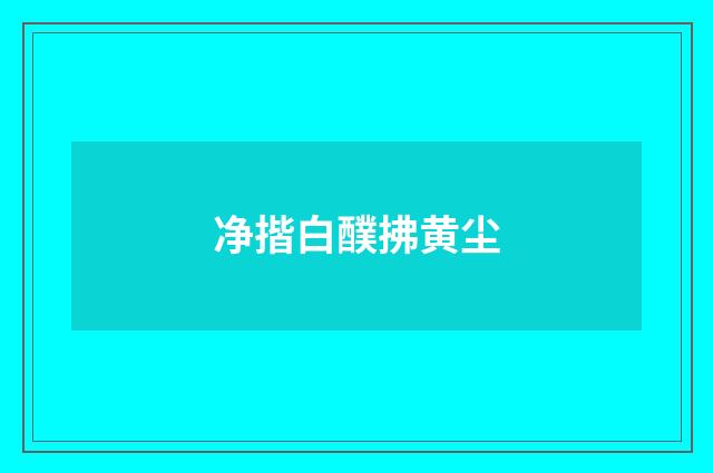 净揩白醭拂黄尘
