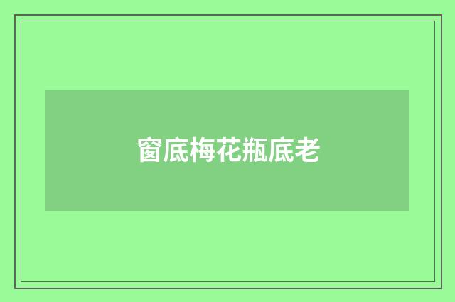 窗底梅花瓶底老