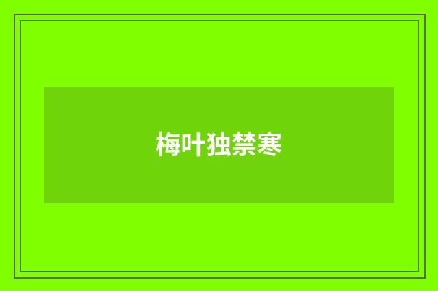 梅叶独禁寒