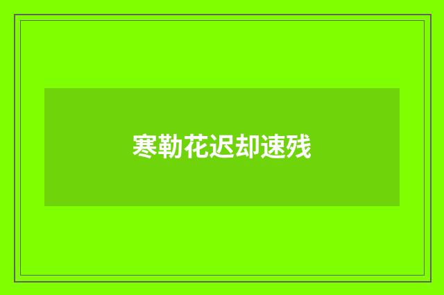 寒勒花迟却速残
