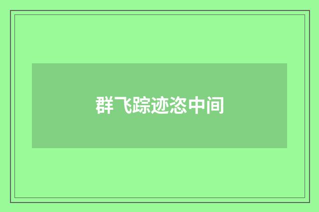 群飞踪迹恣中间