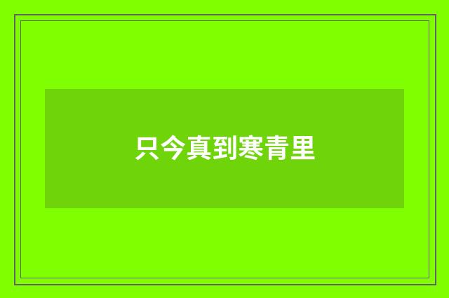 只今真到寒青里