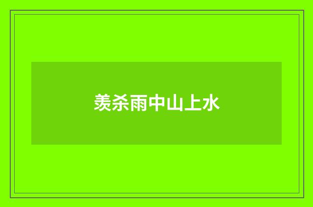 羡杀雨中山上水