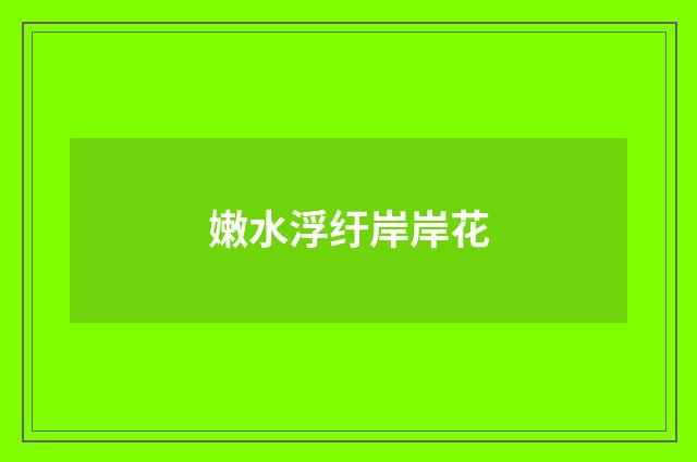嫩水浮纡岸岸花