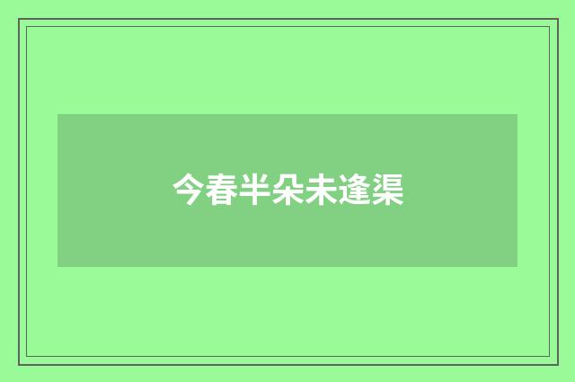 今春半朵未逢渠