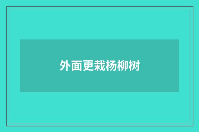 外面更栽杨柳树