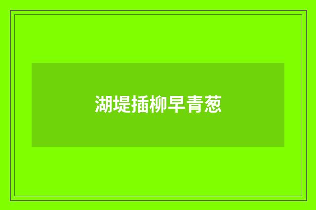 湖堤插柳早青葱