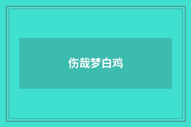 伤哉梦白鸡