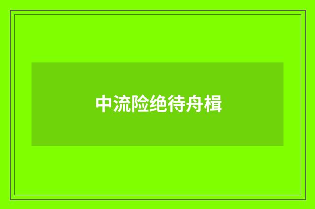 中流险绝待舟楫