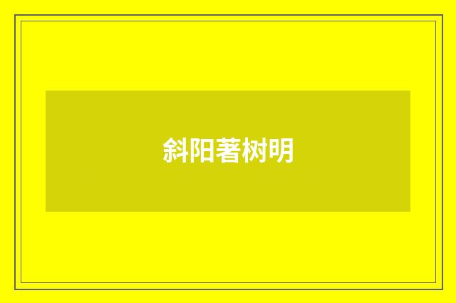 斜阳著树明