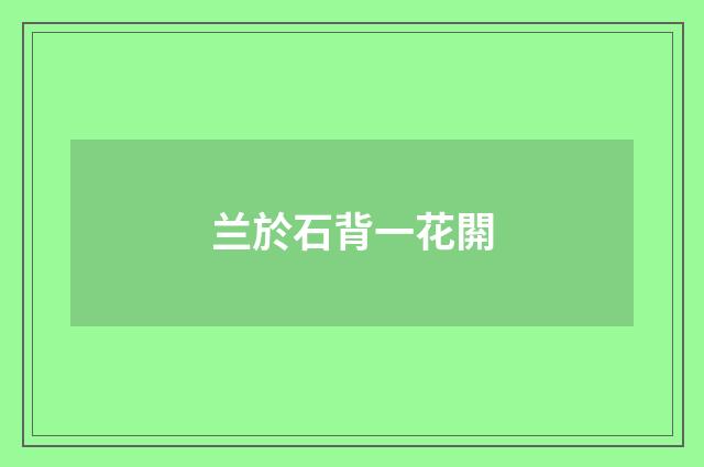 兰於石背一花閞