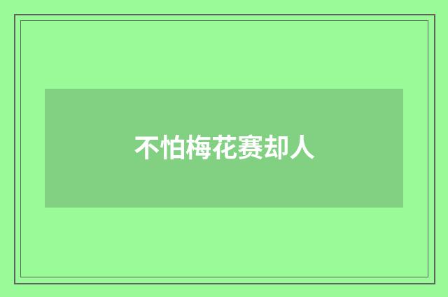 不怕梅花赛却人