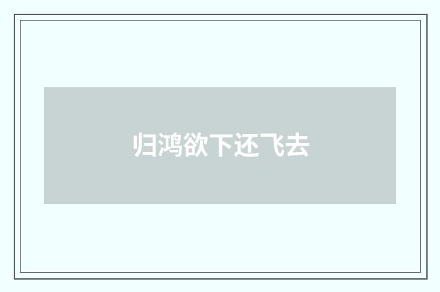 归鸿欲下还飞去