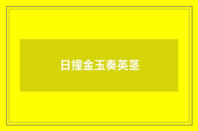 日撞金玉奏英茎