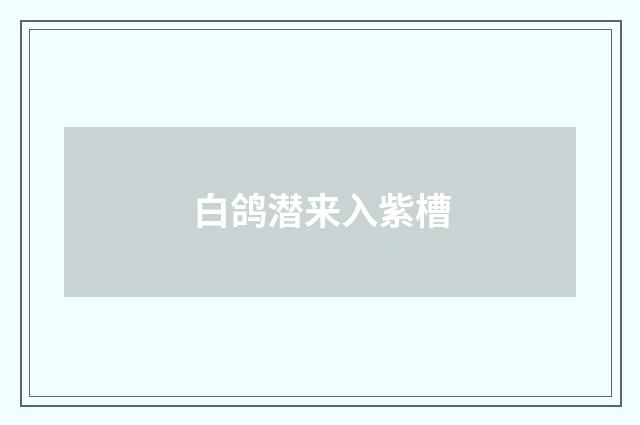 白鸽潜来入紫槽