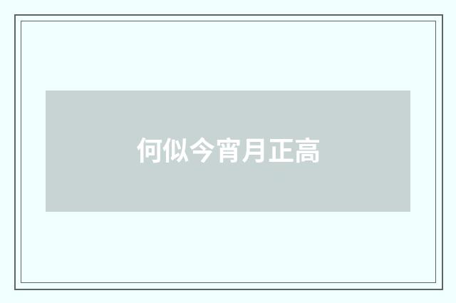 何似今宵月正高