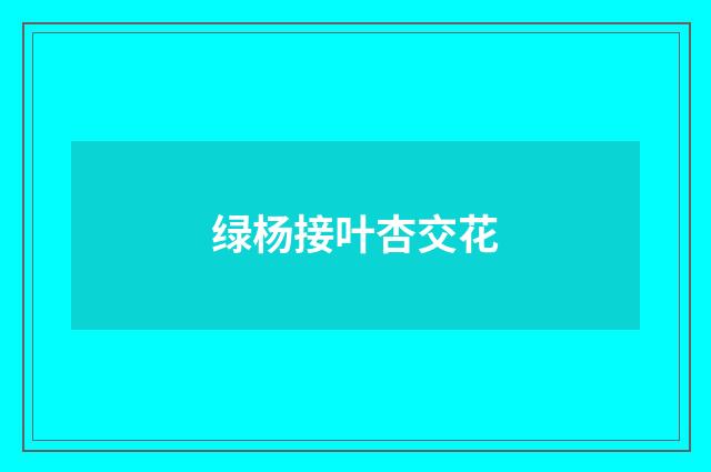 绿杨接叶杏交花