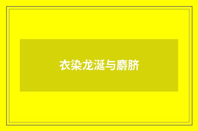 衣染龙涎与麝脐