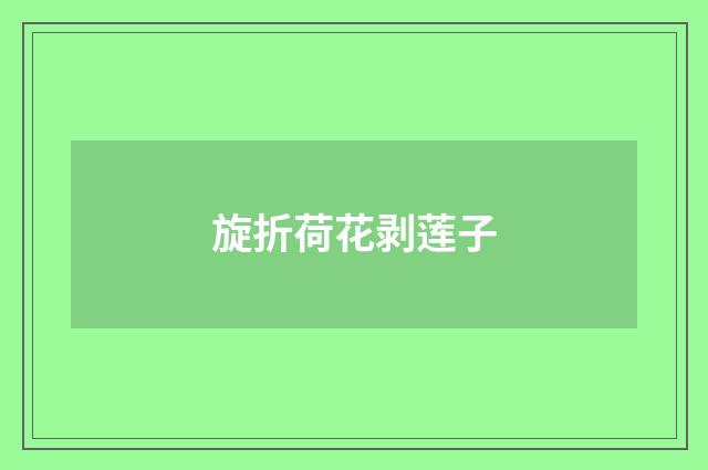 旋折荷花剥莲子