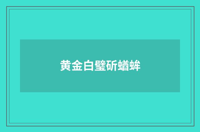 黄金白璧斫蝤蛑