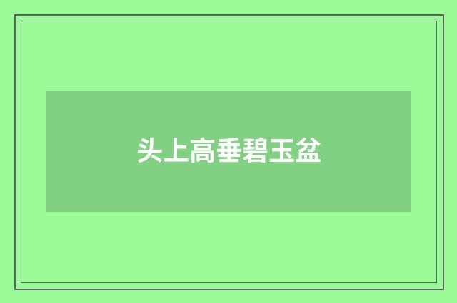 头上高垂碧玉盆