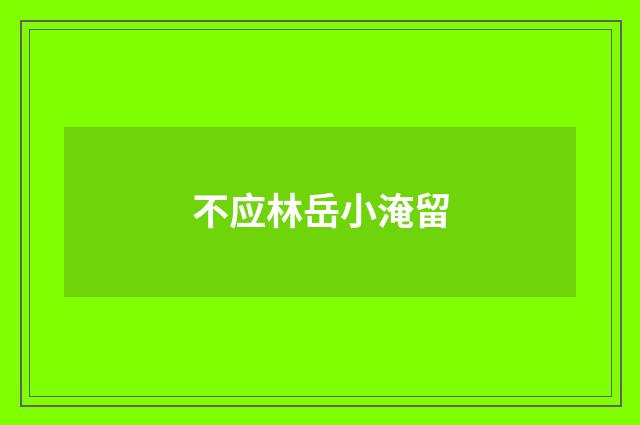 不应林岳小淹留