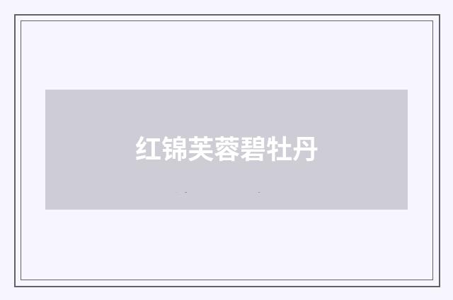 红锦芙蓉碧牡丹