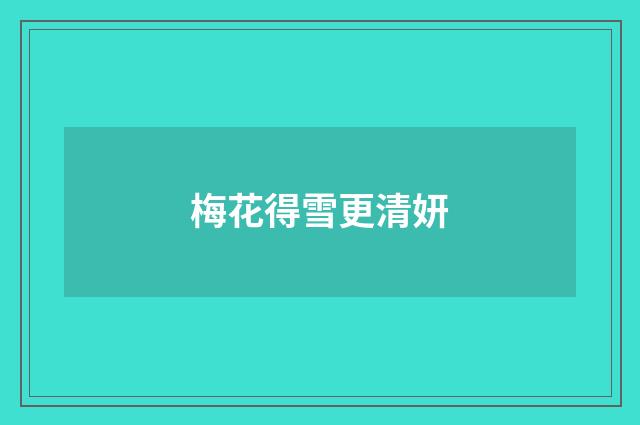 梅花得雪更清妍