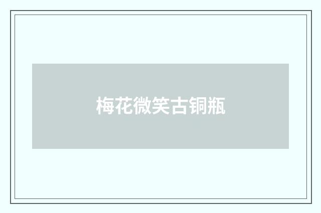 梅花微笑古铜瓶