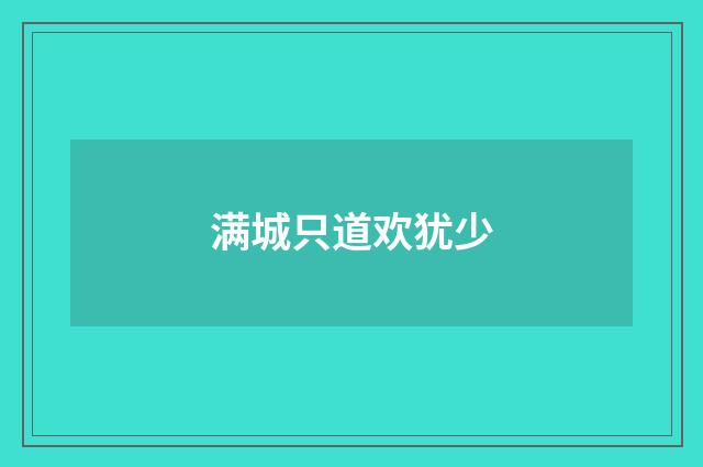 满城只道欢犹少