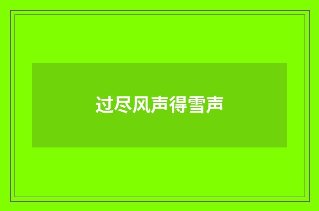 过尽风声得雪声