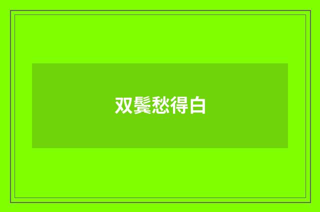 双鬓愁得白