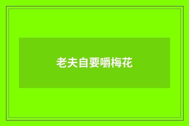 老夫自要嚼梅花